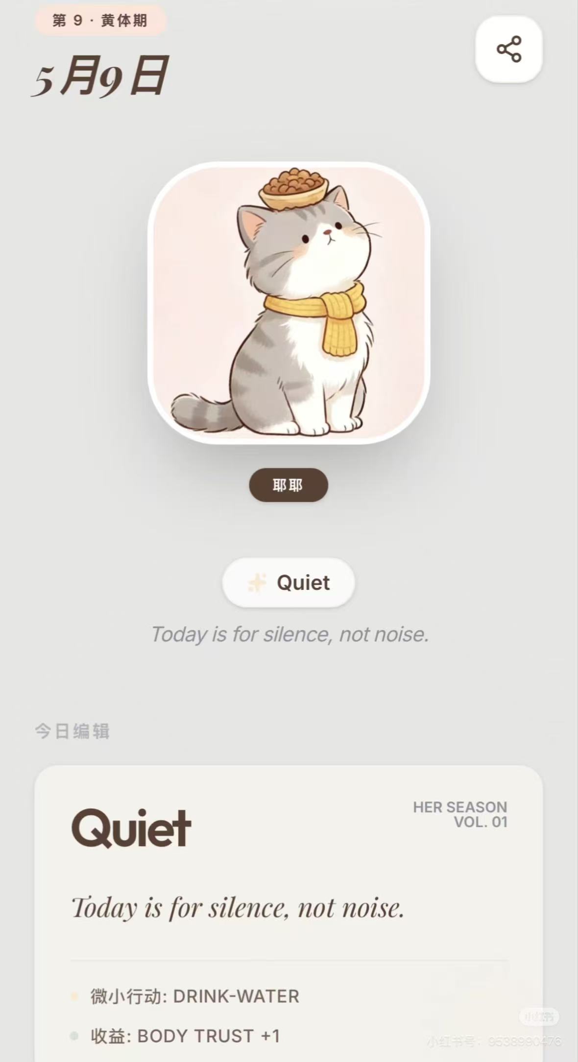 app概览